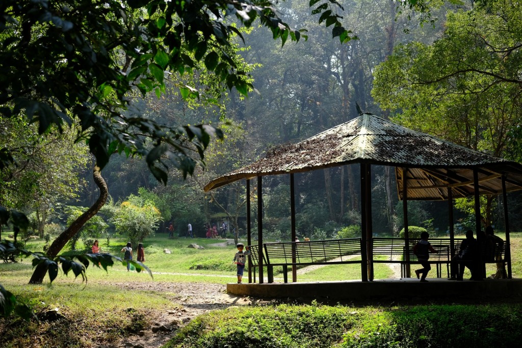 An Urban Retreat at the Godavari Botanical Gardens