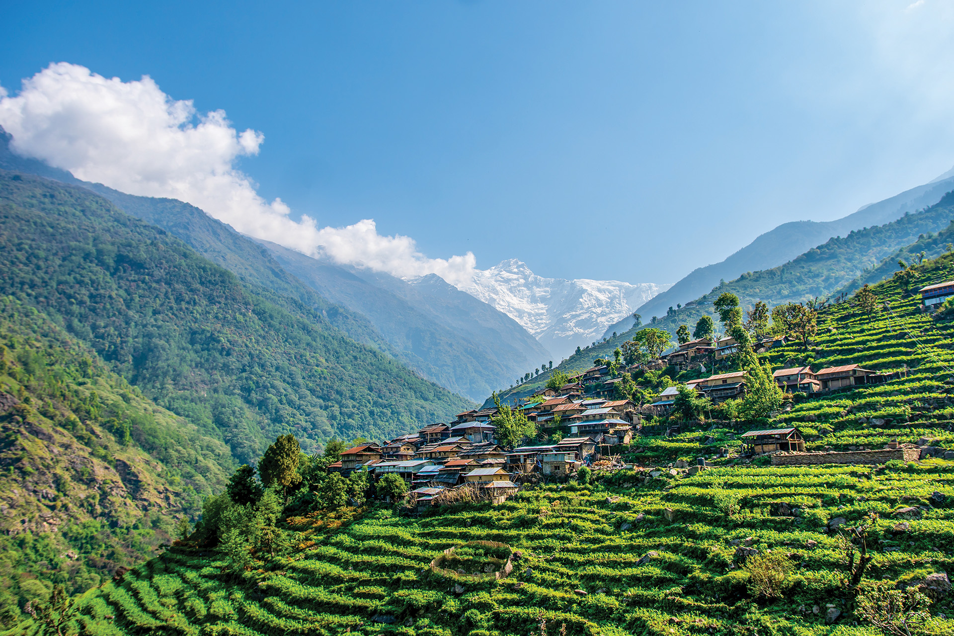 The Honey Hunters of Nepal